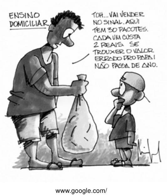 Educação domiciliar: o que está em jogo quando a escola deixa de ser um direito de todos?
